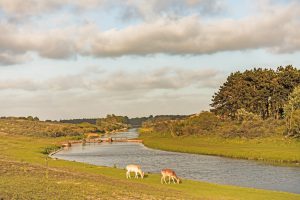 Blog verhalen Zandvoort